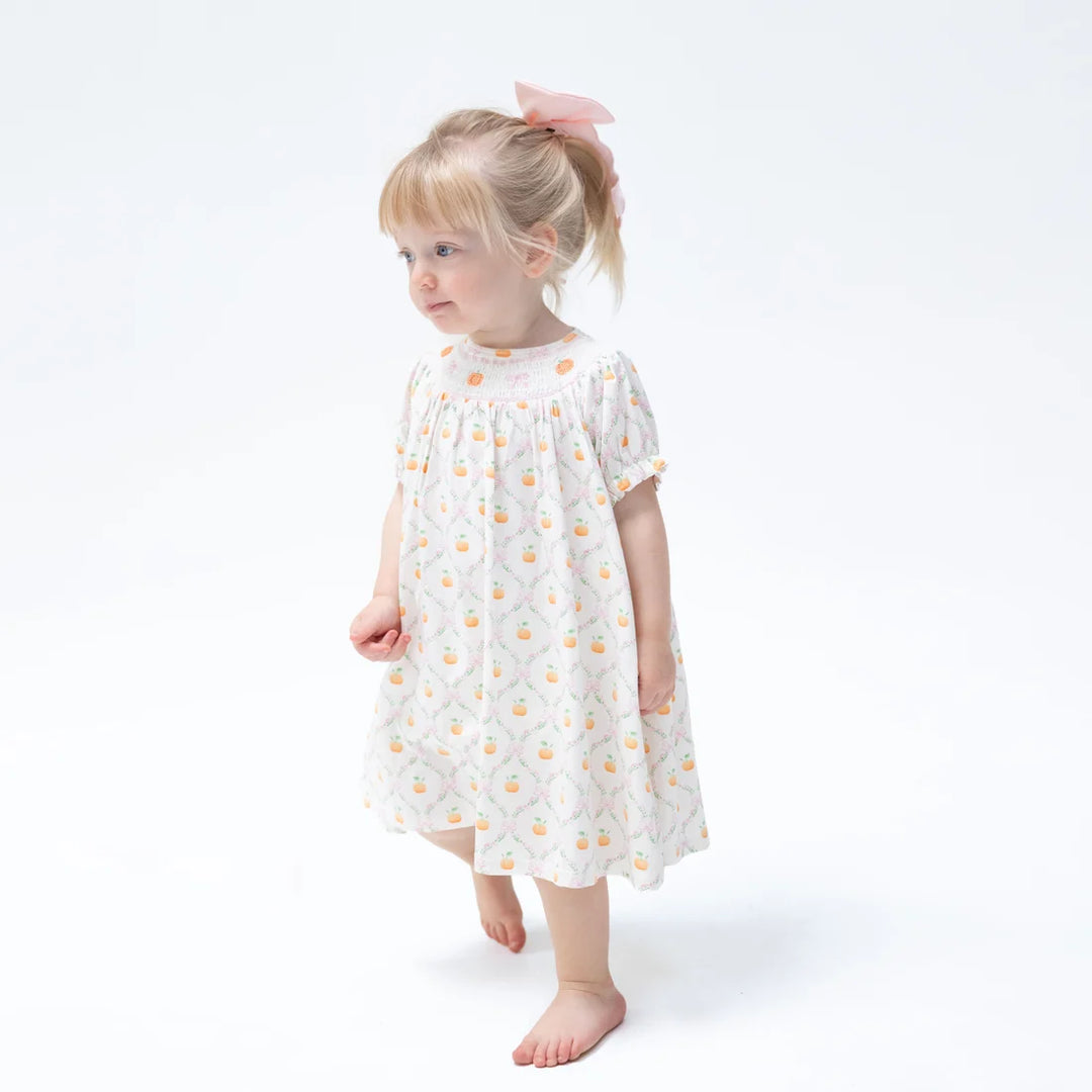 Pretty Pumpkin Trellis Jane Puff Sleeve Bishop Dress & Bloomer