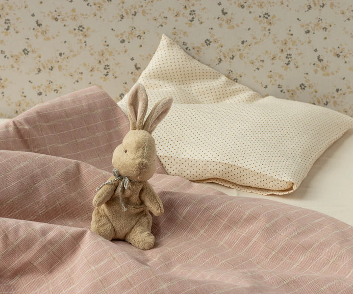 My First Bunny-Brown