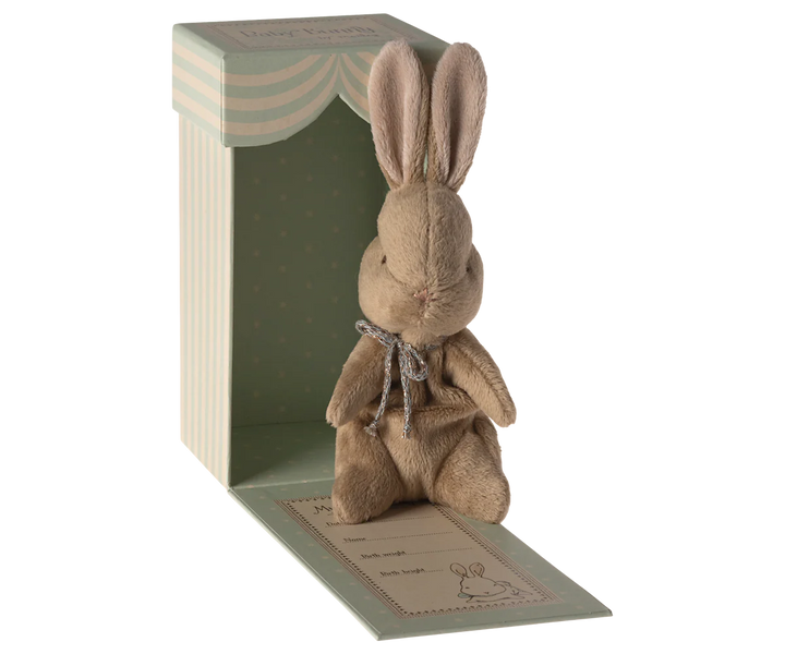 My First Bunny-Brown
