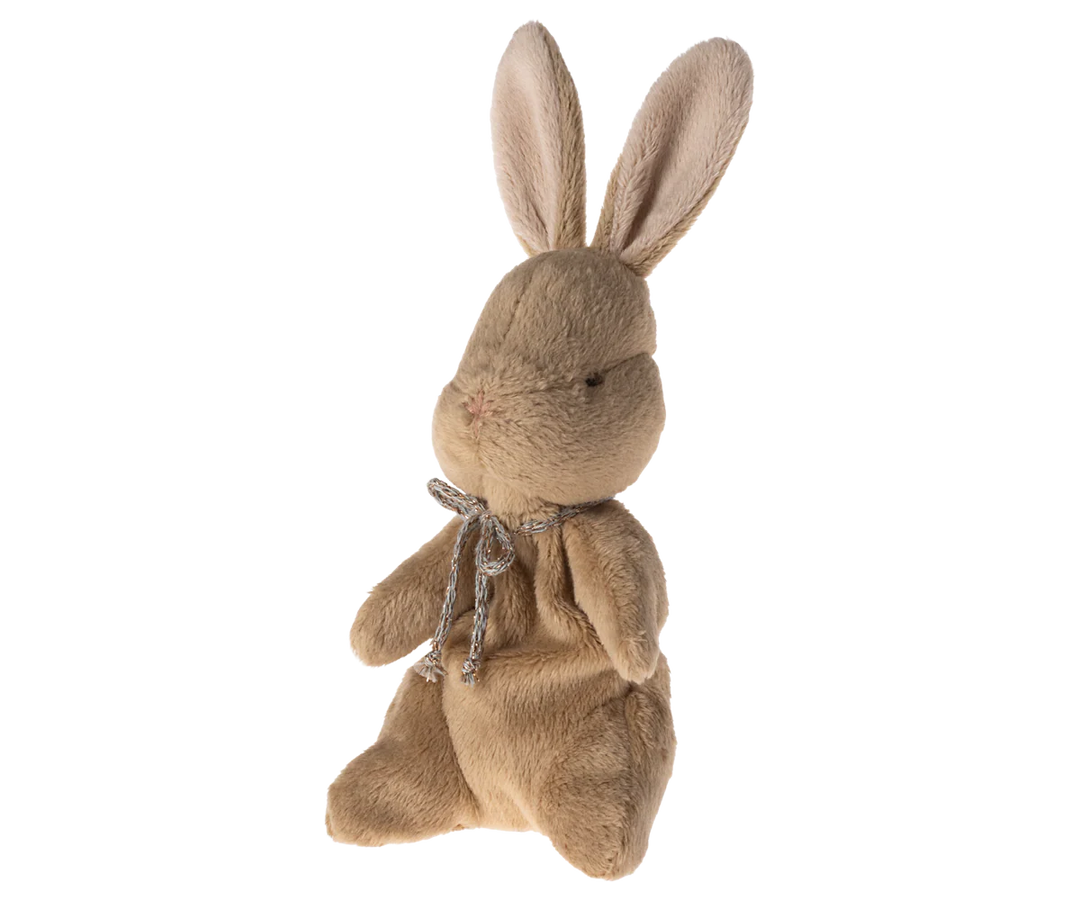 My First Bunny-Brown
