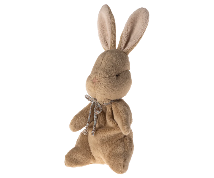 My First Bunny-Brown