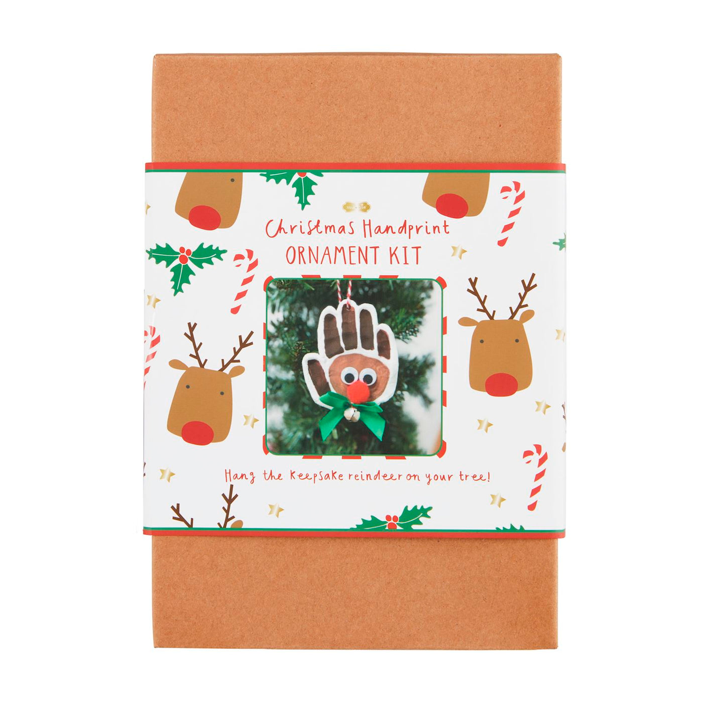 Reindeer Handprint Ornament Kit