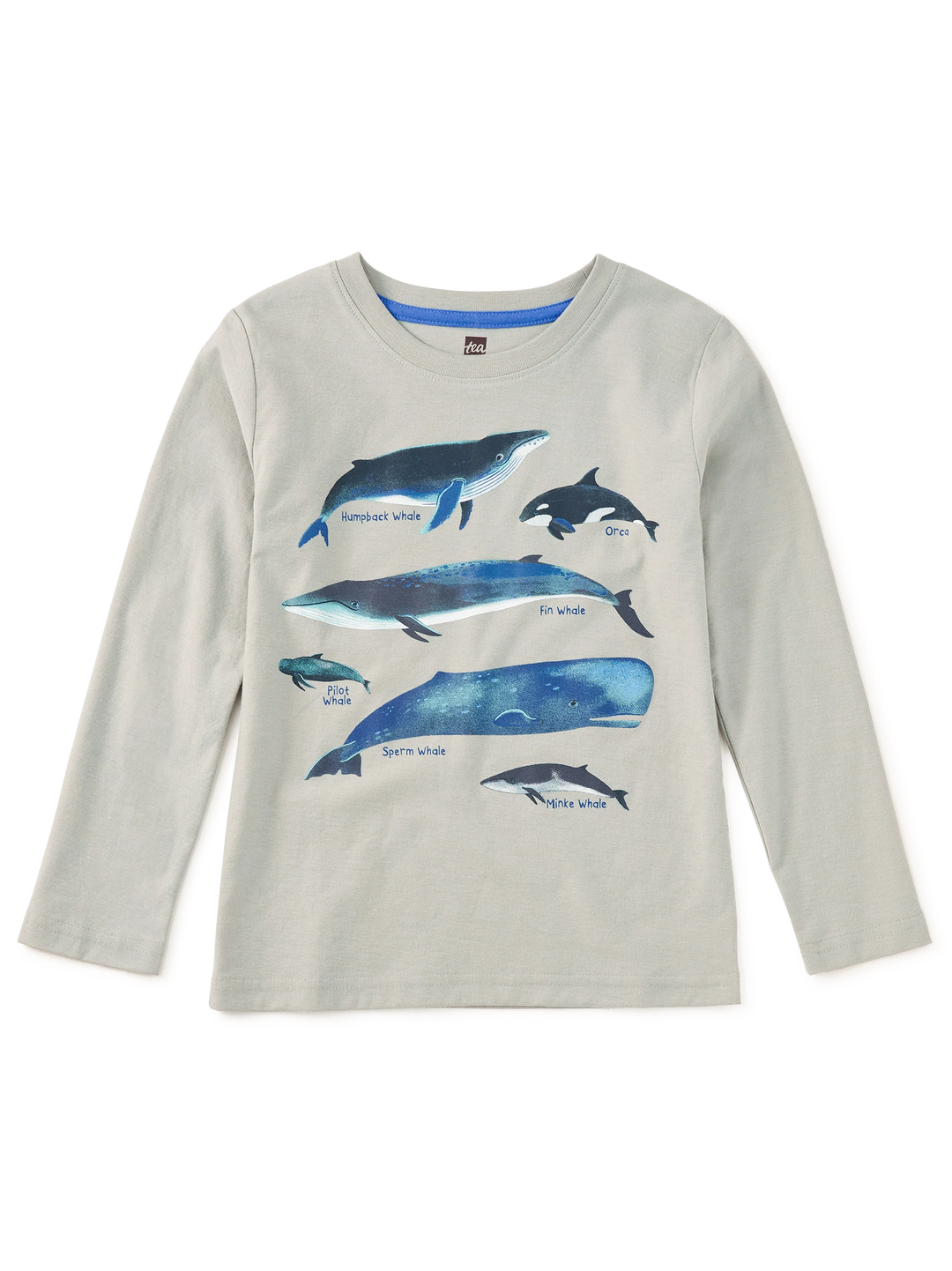 Whale Discovery Graphic Tee