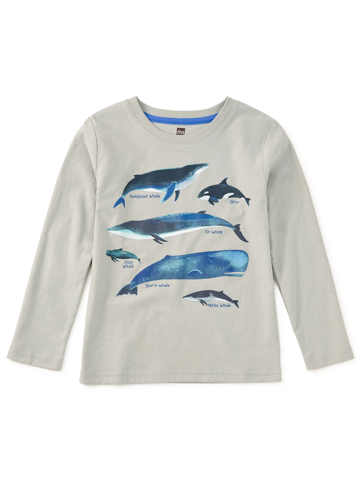 Whale Discovery Graphic Tee