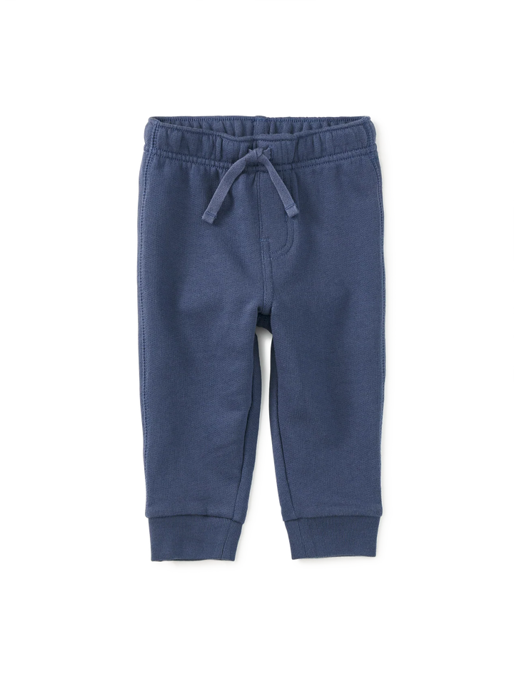 Easy Baby Jogger- Triumph