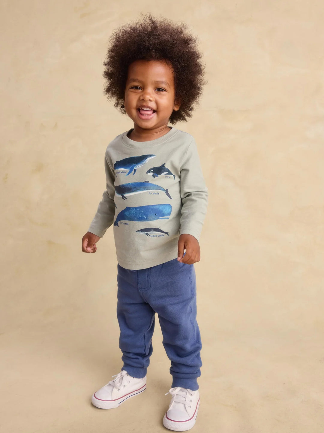 Easy Baby Jogger- Triumph