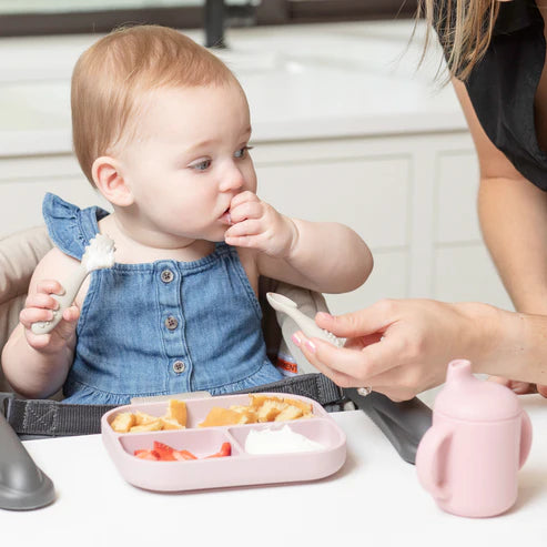 Magic Meadow Learn  to Eat Beginner  Bundle