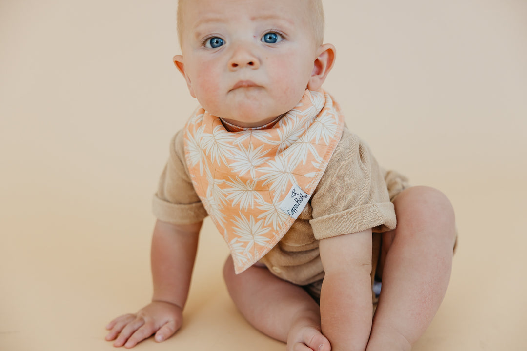 Tide Bandana Bib Set