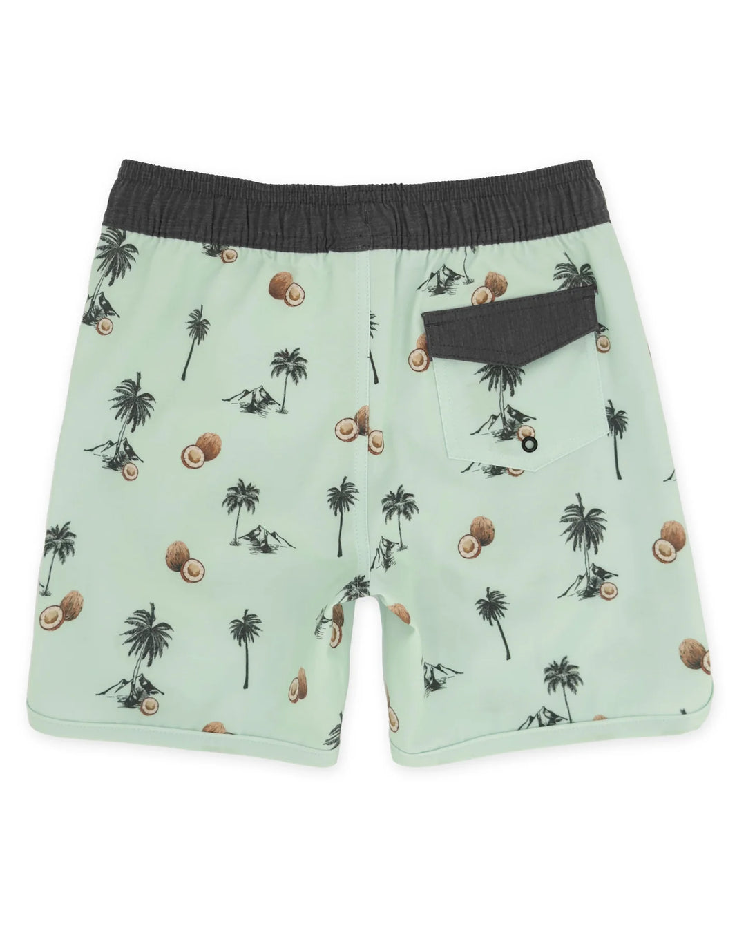 Scallop Boardshort - Coconut Beach