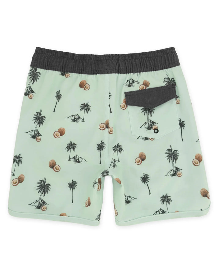 Scallop Boardshort - Coconut Beach