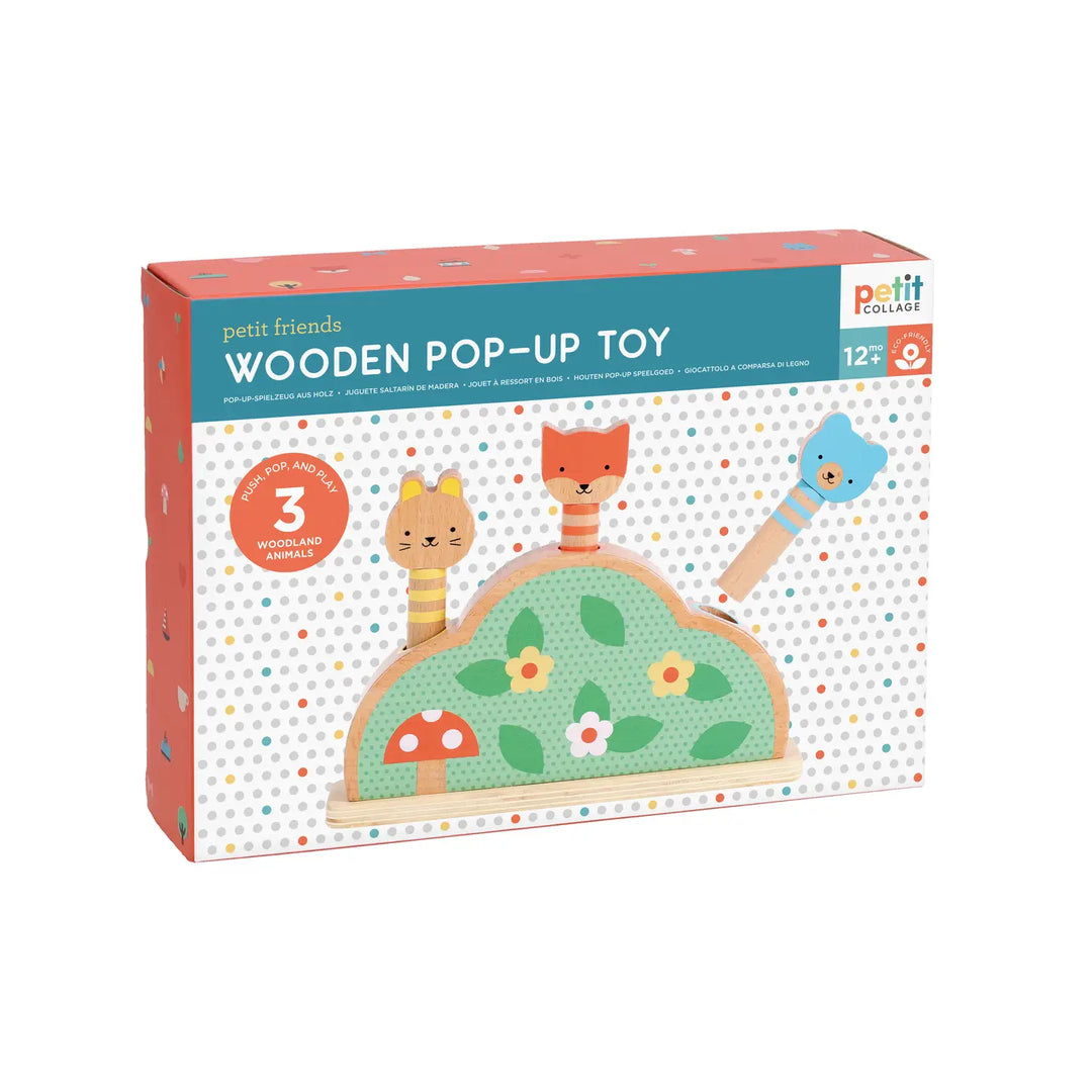 Wooden Pop Up Toy