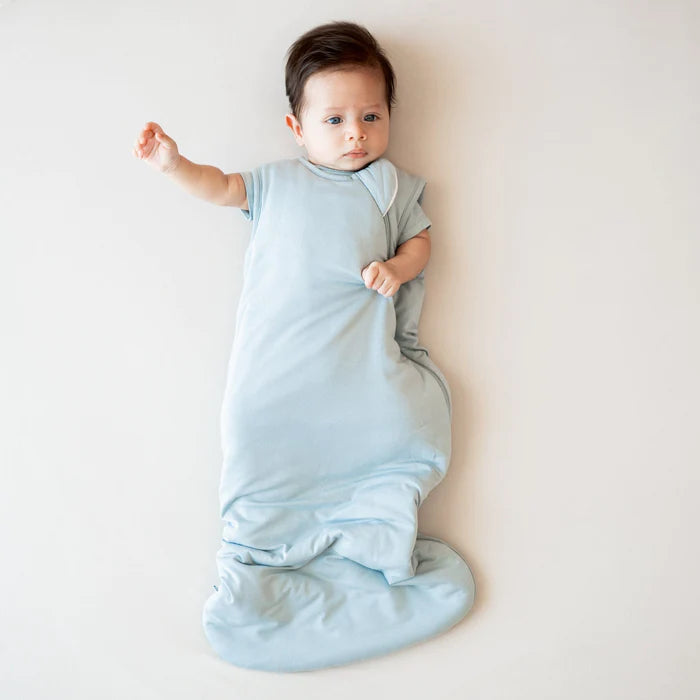 Fog Sleep Bag 1.0