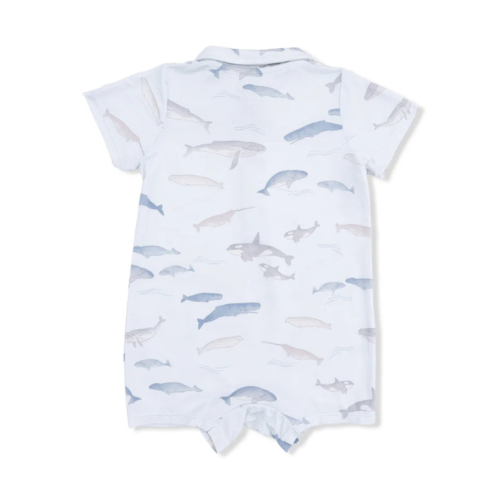 Little Whales - Polo Shortie