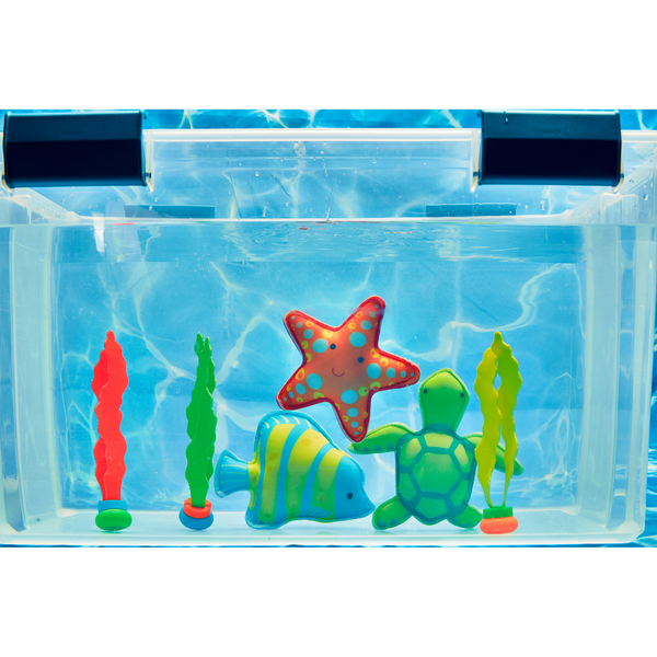 Fish Dive Toy Set Fish Dive Toy Set