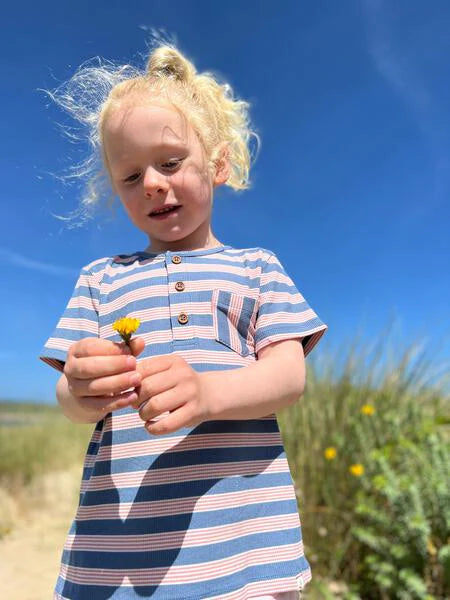 Blue/Pink Stripe SS Henley