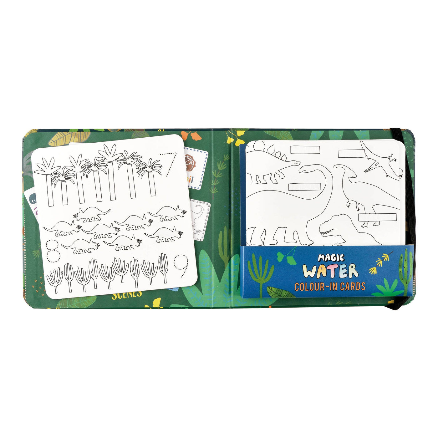 Dinosaur Water Pen & Cards