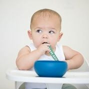 Chip Chip Suction Bowl