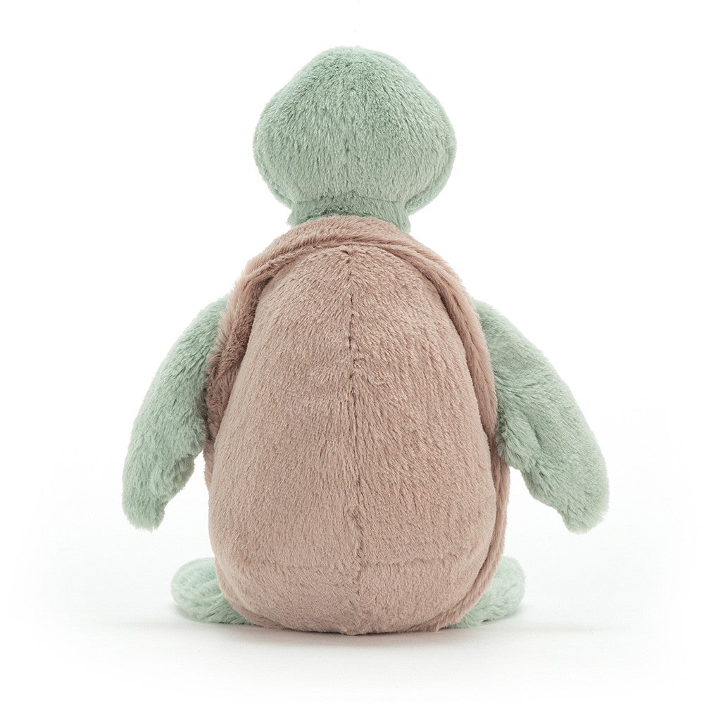 Medium Bashful Turtle