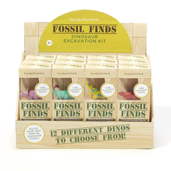 Dinosaur Excavation Kit
