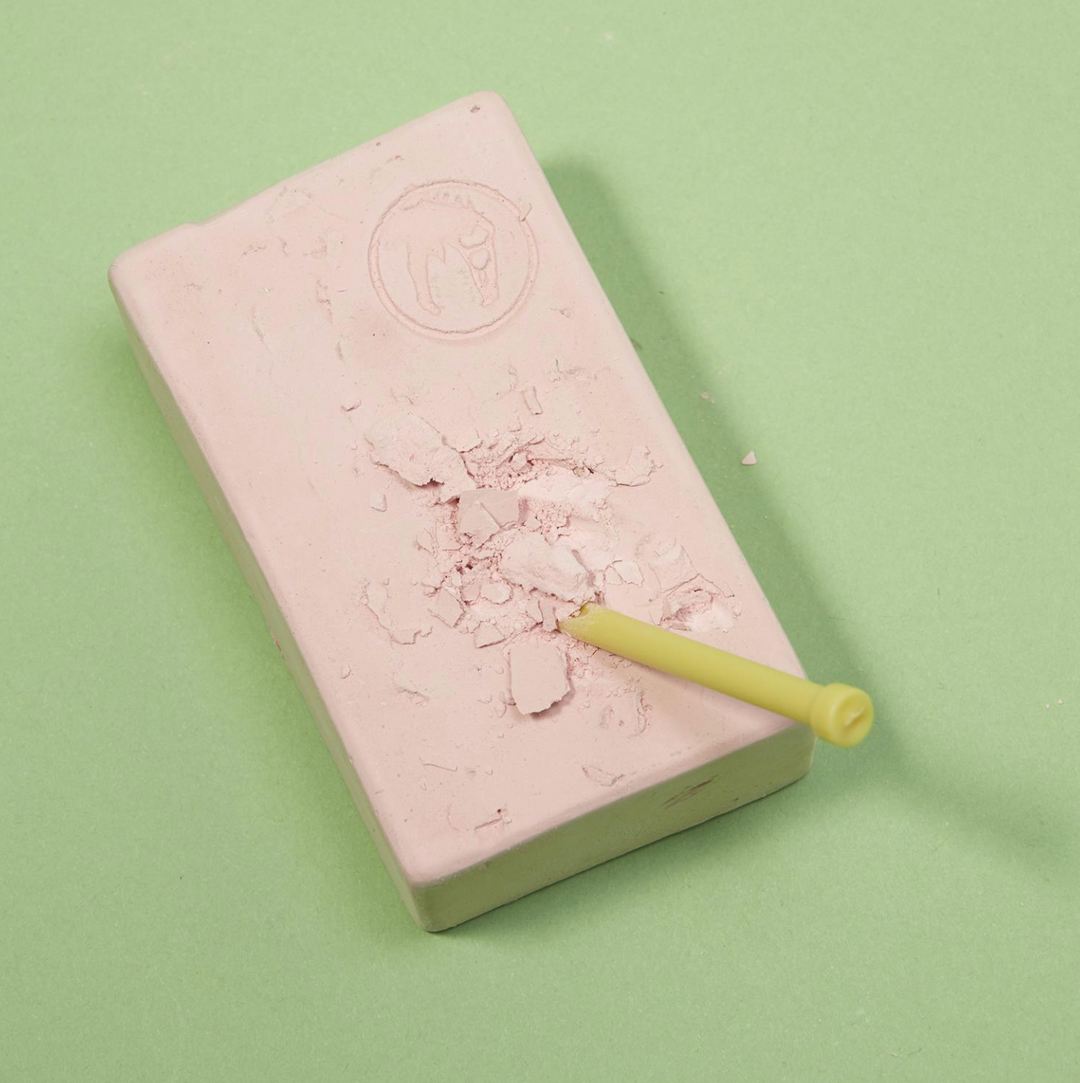 Dinosaur Excavation Kit