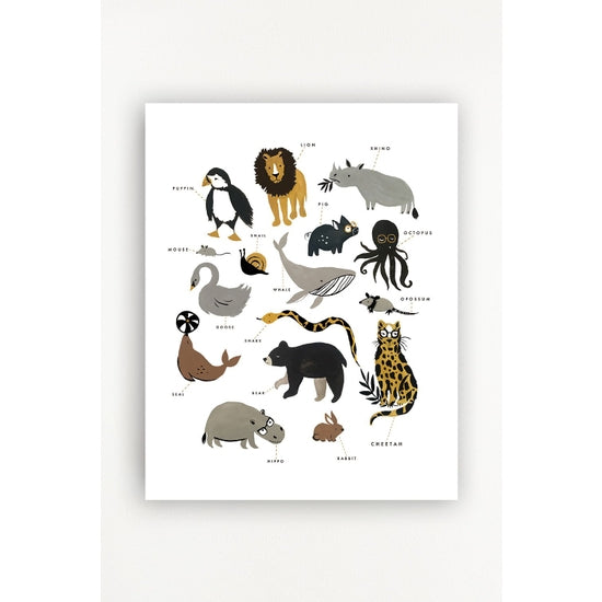 Zoology Art Print | 11x14