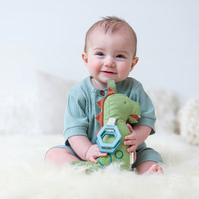 Link & Love Dino Plush Teether Toy